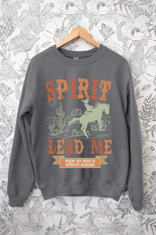 Desert Worship Spirit Graphic Fleece Sweatshirts Color Bear