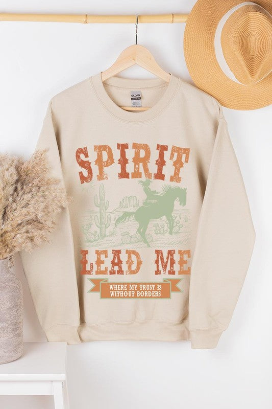 Desert Worship Spirit Graphic Fleece Sweatshirts Color Bear