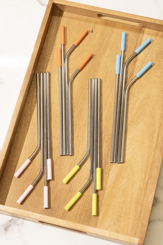 Reusable Metal Straw 20 Pcs Set & Silicone Tip ReeVe