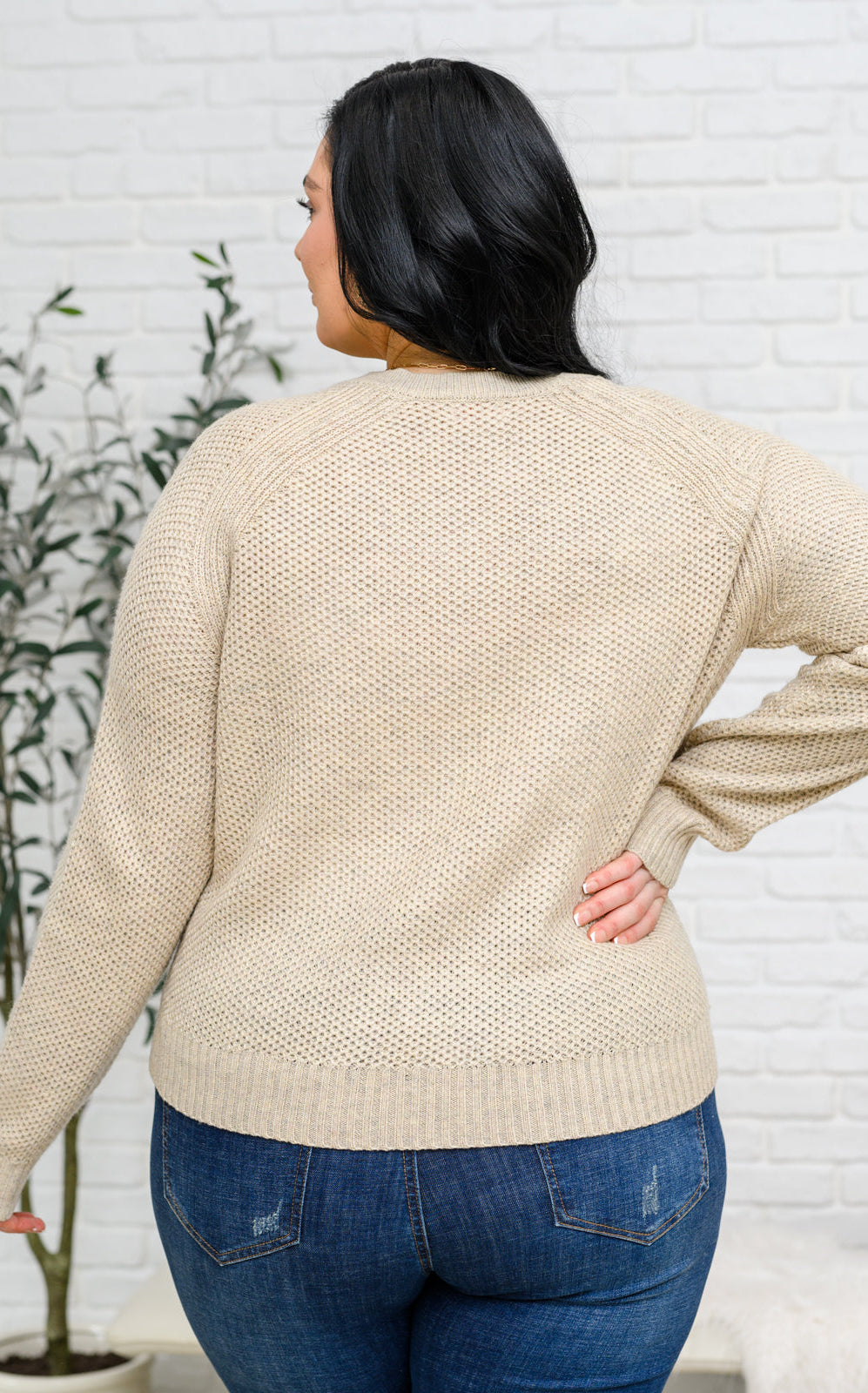 Chai Latte V-Neck Sweater in Oatmeal Ave Shops