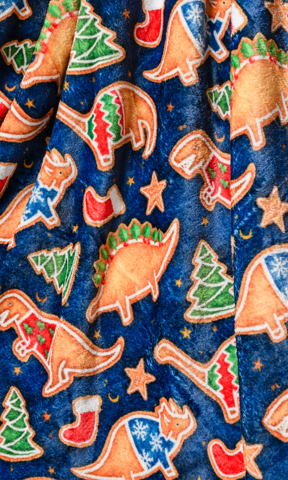 Holiday Fleece Blanket in Dino Cookie Ave Shops