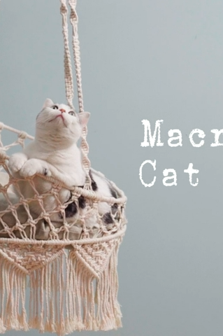 Boho Macrame Hanging Cat Hammock Bed The Groovalution