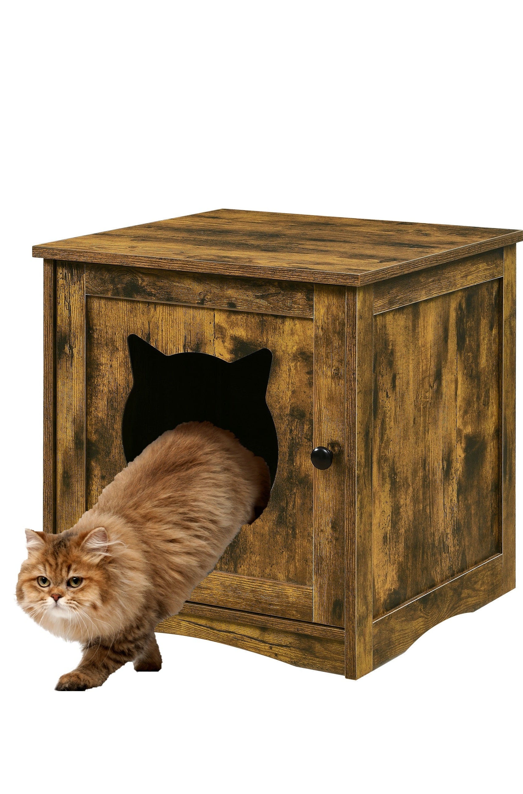 Cat House Side Table The Groovalution
