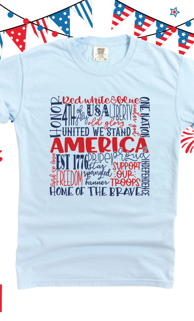 America Words Colorful | Garment Dyed Short Sleeve Tee Olive and Ivory Retail