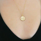 Chinese Zodiac Coin Necklace - Pig HONEYCAT Jewelry