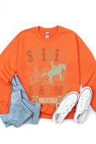 Desert Worship Spirit Graphic Fleece Sweatshirts Color Bear