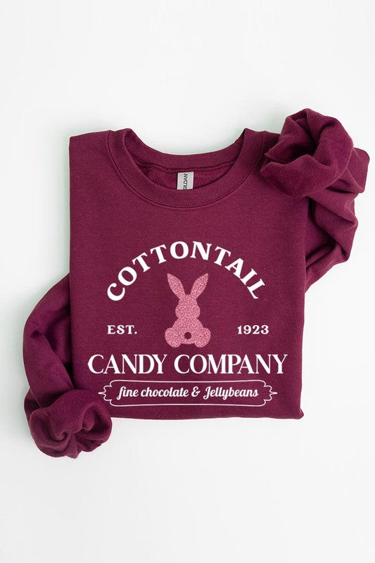 Easter Bunny Glitter Graphic Fleece Sweatshirts Color Bear