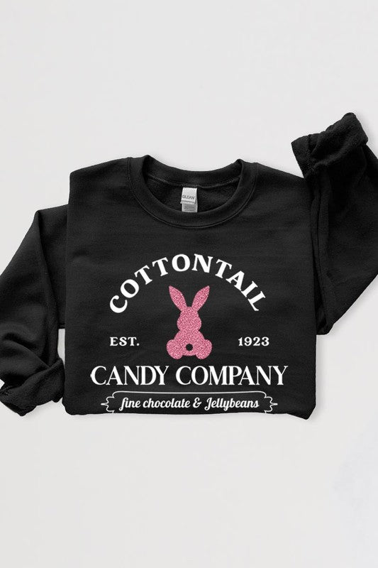 Easter Bunny Glitter Graphic Fleece Sweatshirts Color Bear