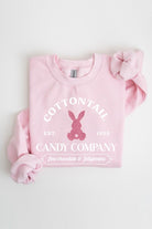 Easter Bunny Glitter Graphic Fleece Sweatshirts Color Bear