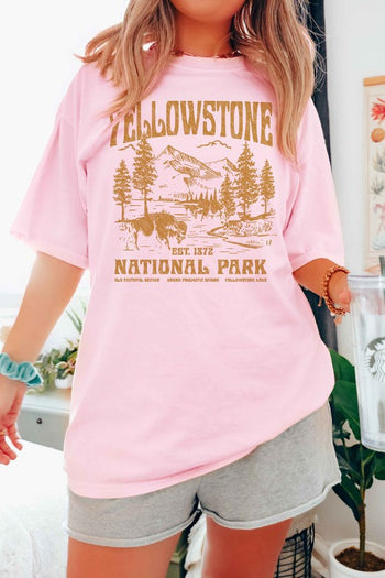 YELLOWSTONE NATIONAL PARK GRAPHIC TEE ALPHIA