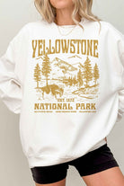 YELLOWSTONE NATIONAL PARK OVERSIZED SWEATSHIRT ALPHIA