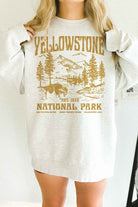 YELLOWSTONE NATIONAL PARK OVERSIZED SWEATSHIRT ALPHIA