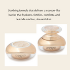 Tightening, Lifting and Illuminating Face Cream and Under Eye Cream Set EpiLynx