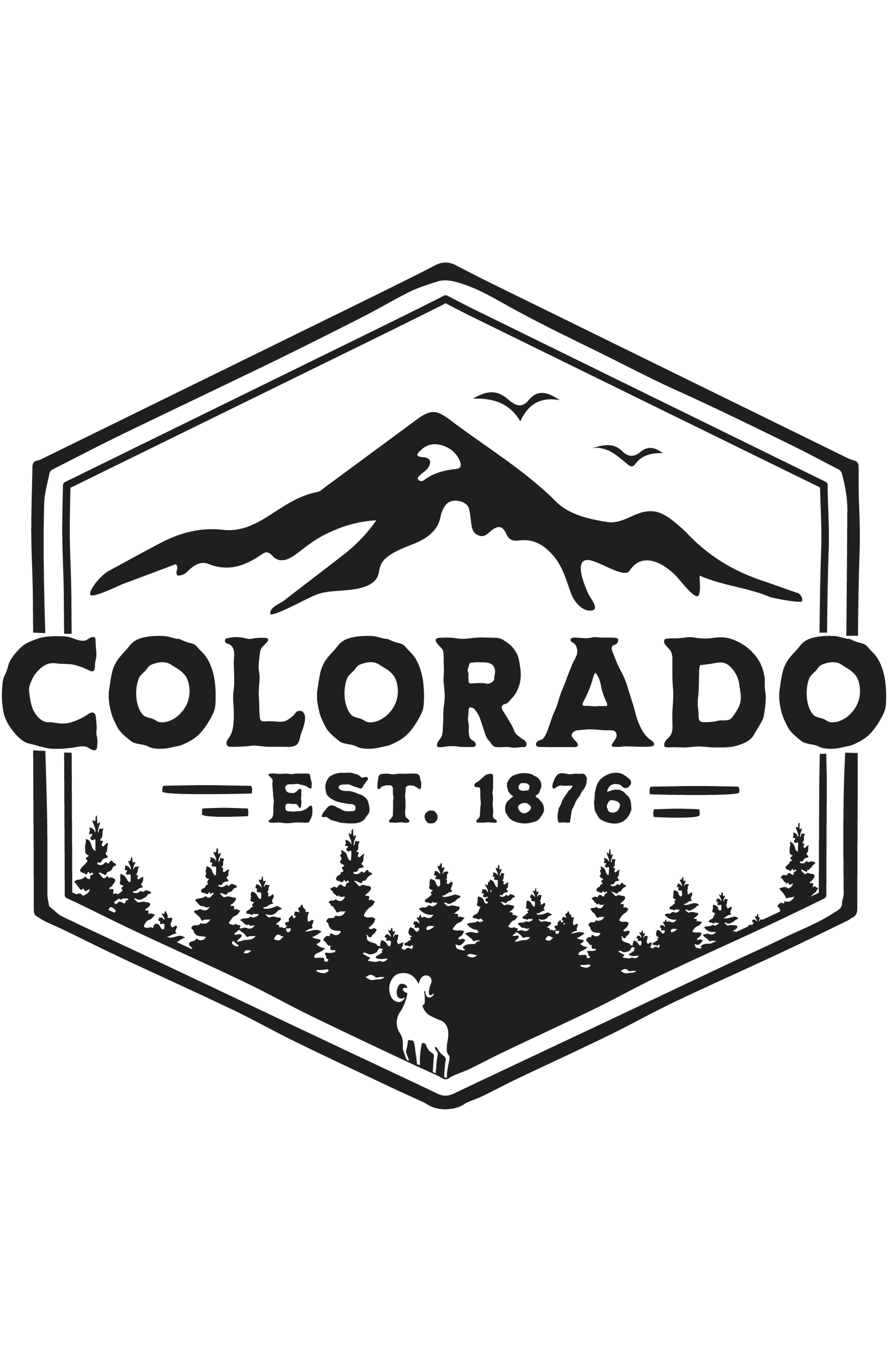 Colorado EST. 1876 Unisex Shirt Colorado Threads Clothing