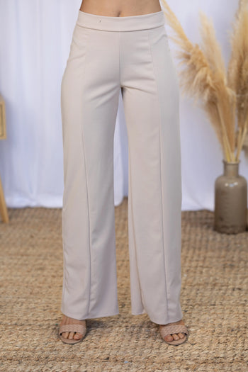 Dress Me Up - Taupe Pants Boutique Simplified