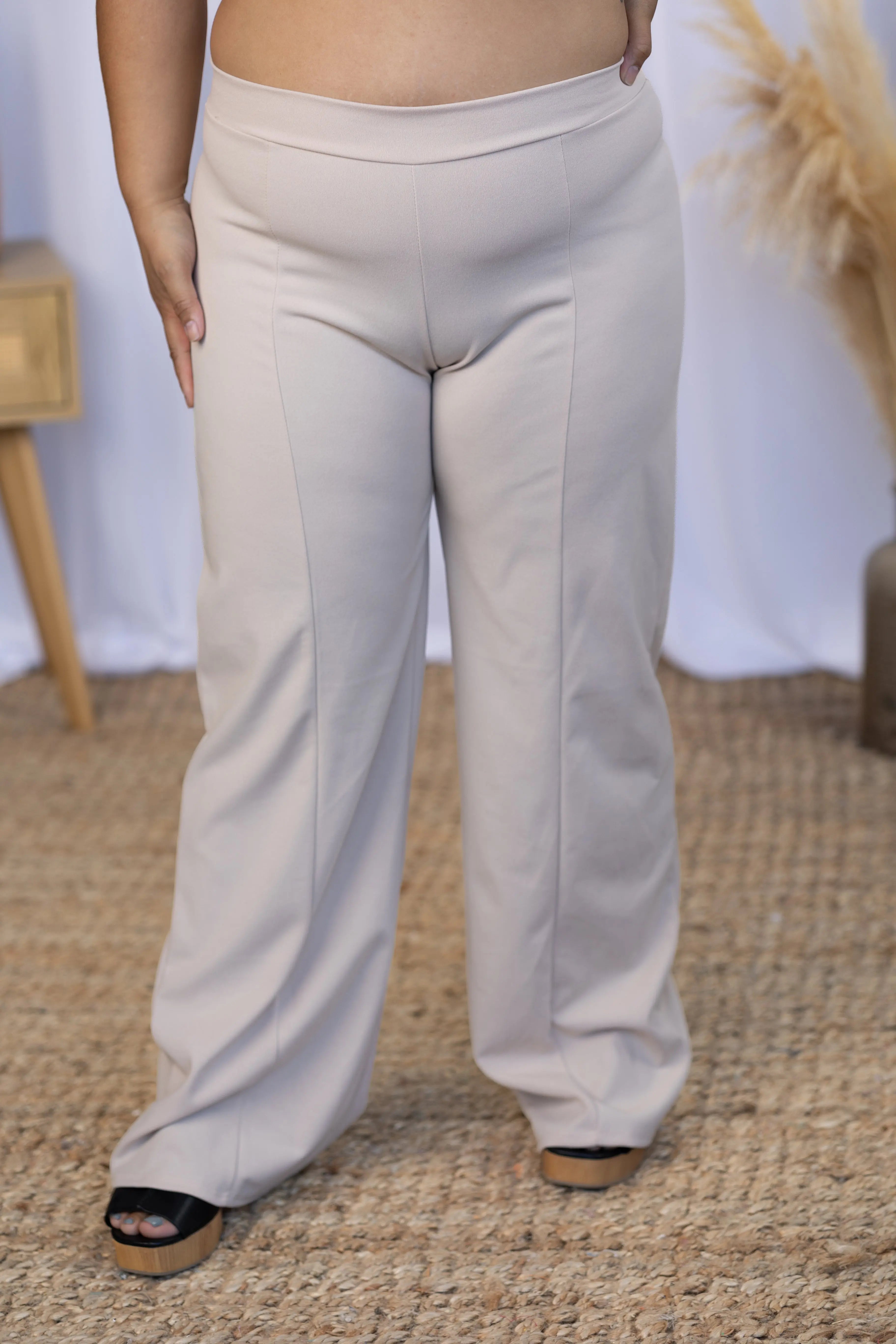 Dress Me Up - Taupe Pants Boutique Simplified