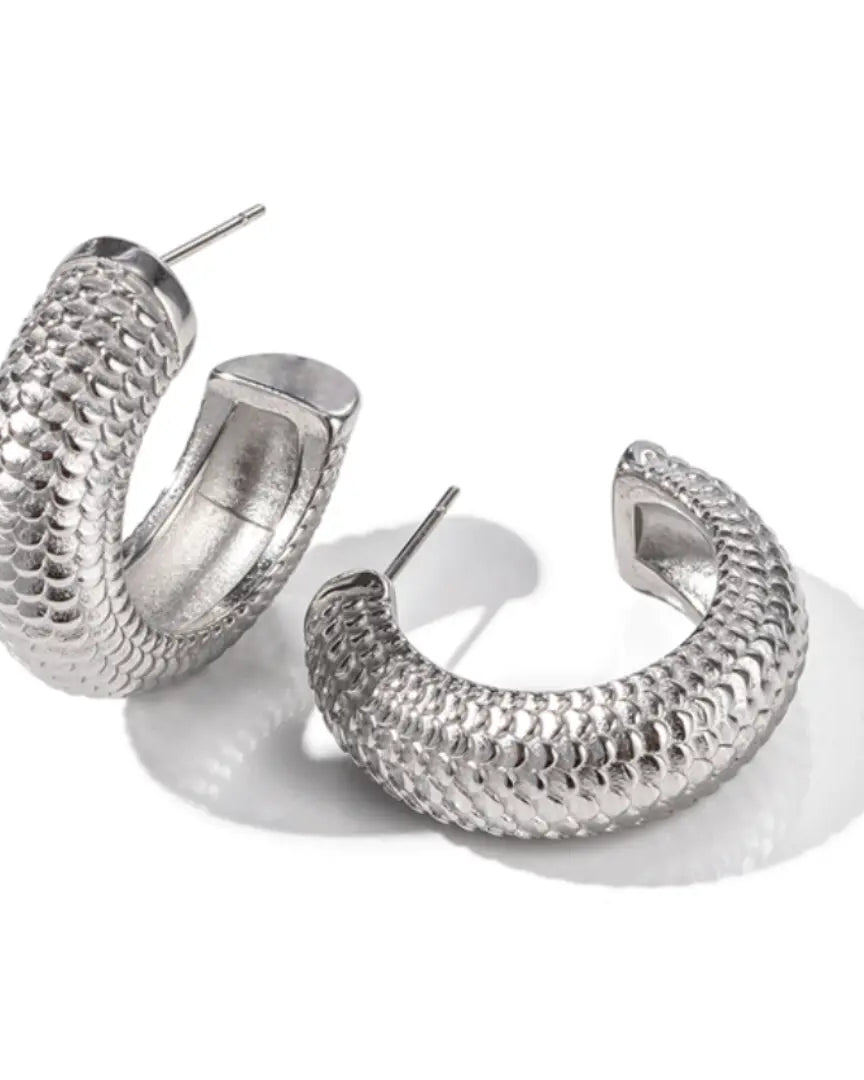Lolo Earrings |  Silver |  Casual Chic Boutique
