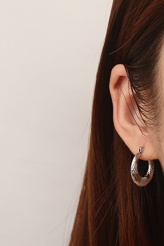 Titanium Steel Hoop Earrings Trendsi