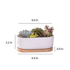 ClaudiaG Succulent Planter -Elongated