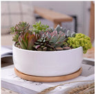 ClaudiaG Succulent Planter - Round