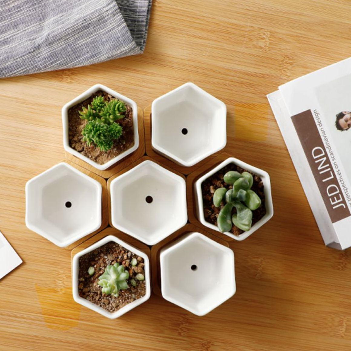 ClaudiaG Succulent Planter-Single