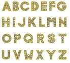 ClaudiaG PavÃƒÆ’Ã‚Â© Letters -Gold Charms