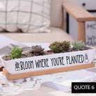 ClaudiaG Message in a Planter - 7" Long