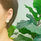 Sweet Daisy Earrings Ellisonyoung.com