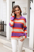 Color Block Round Neck Dropped Shoulder Sweater Trendsi