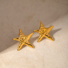 Stainless Steel Star Shape Earrings Trendsi