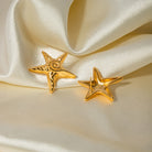 Stainless Steel Star Shape Earrings Trendsi