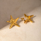 Stainless Steel Star Shape Earrings Trendsi