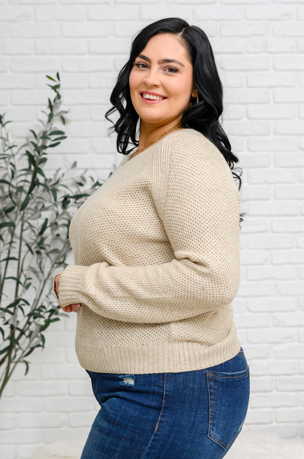 Chai Latte V-Neck Sweater in Oatmeal Ave Shops