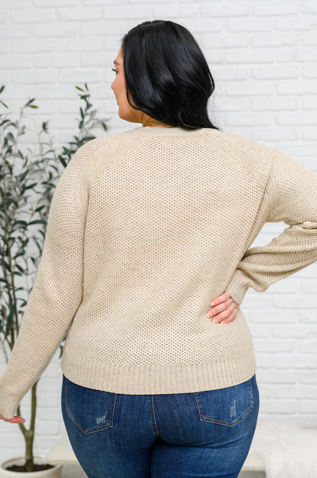 Chai Latte V-Neck Sweater in Oatmeal Ave Shops