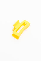 Claw Clip Set of 4 in Lemon Ave Shops