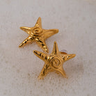 Stainless Steel Star Shape Earrings Trendsi