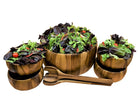 Dragor 7 Piece - Extra Large Salad Bowl with Servers and 4 Individuals The Groovalution