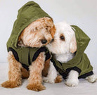 Dog Rain Jacket Windbreaker & Jogger - Hunter Green Bougiest Babe