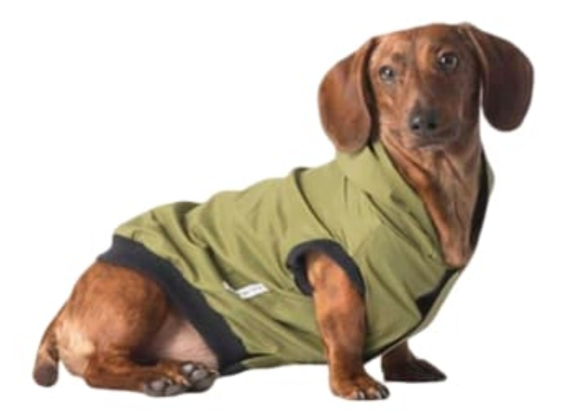 Dog Rain Jacket Windbreaker & Jogger - Hunter Green Bougiest Babe