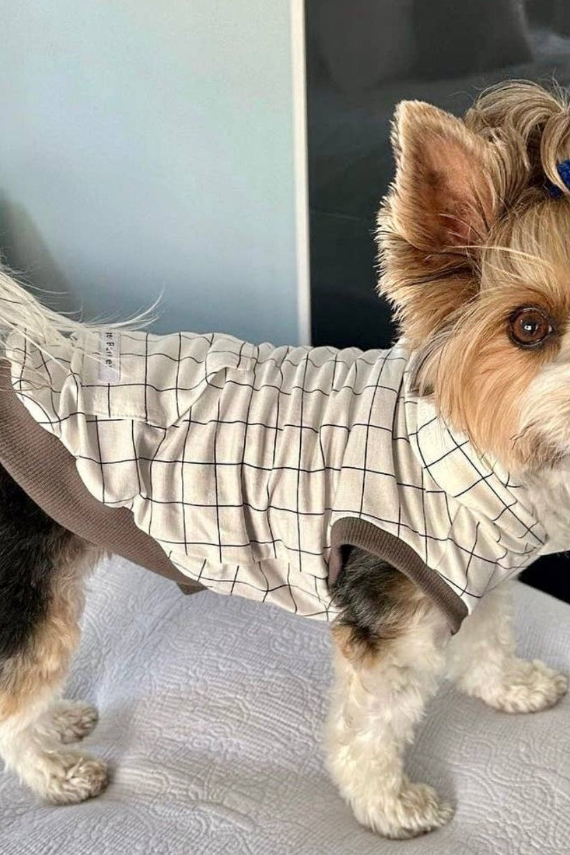 Bamboo Dog Hoodie - Grid Pattern Bougiest Babe