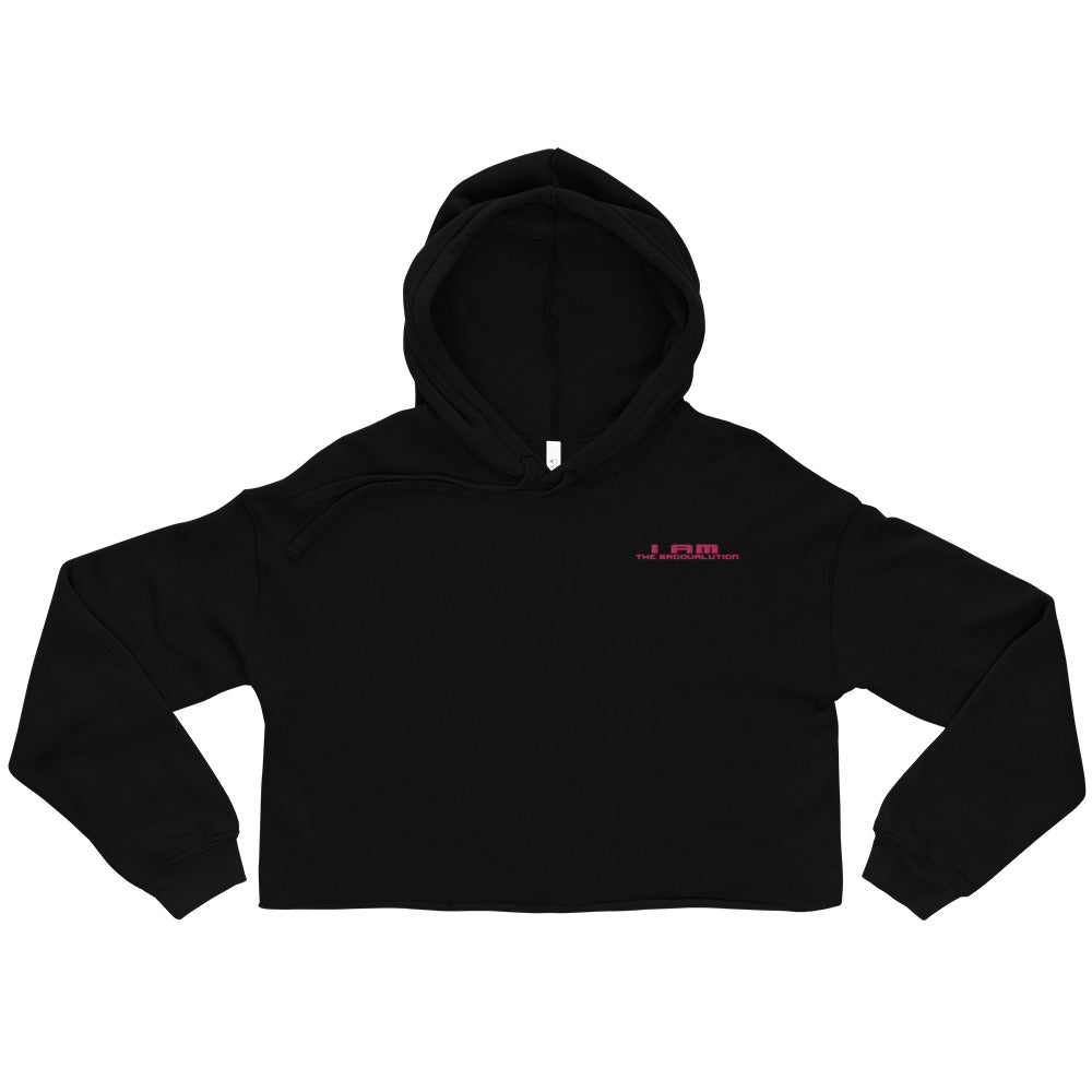 I Am The Groovalution Embroidered Hoodie The Groovalution